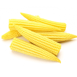 baby corn 500x500 1